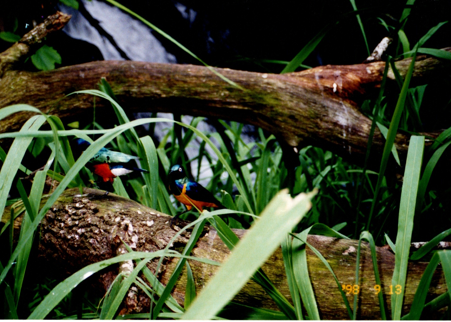 ./1998/17 - September/img06272020_613.jpg
